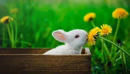 JIUYOU GAMING-“花式运球：联盟高手的炫酷过人秀”，花式运球过人教学视频