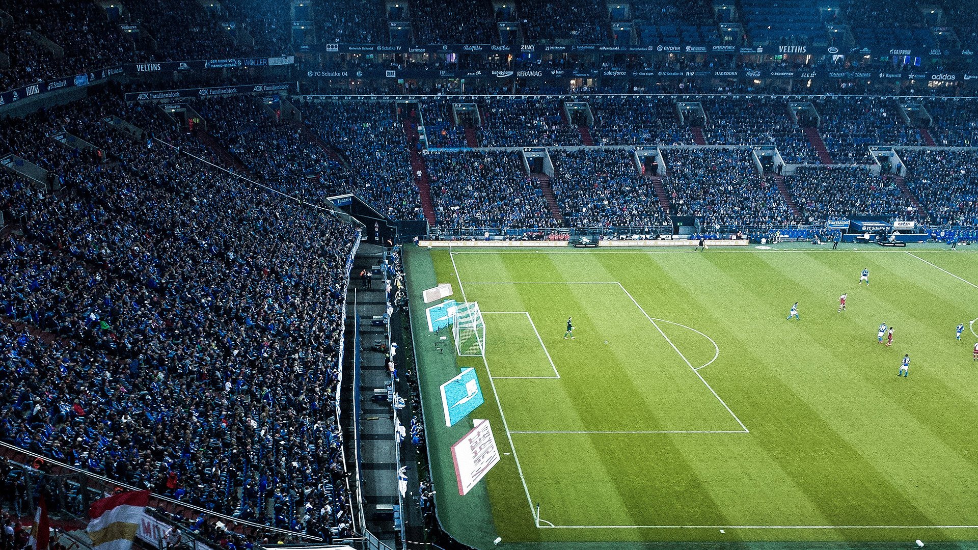 伊朗马术协会举办国际马术科技大会，推动行业技术交流与合作。